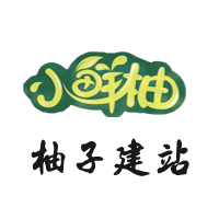 成都武侯區(qū)建站公司
